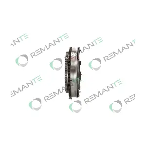 009-001-000259R REMANTE