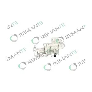 012-001-000389R REMANTE