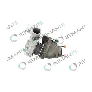6010960399 BorgWarner