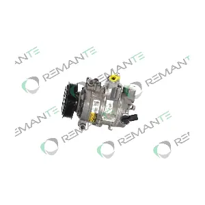 005-001-000195R REMANTE