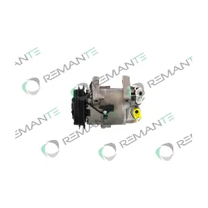 REMANTE 005-001-000289R