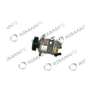 241534 REMANTE