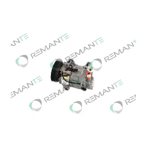 005-001-000069R REMANTE