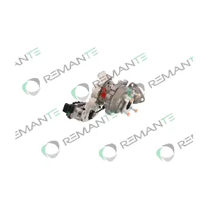 003-001-004262R REMANTE