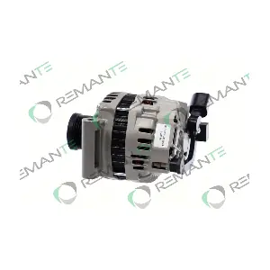 011-003-000097R REMANTE