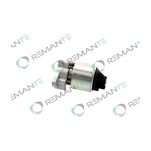 010-001-000061R REMANTE
