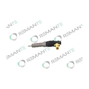 002-003-002113R REMANTE