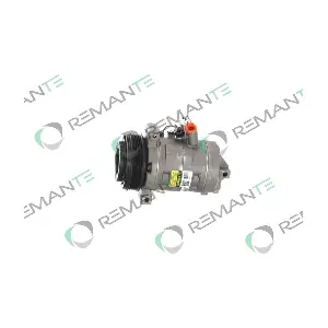 005-001-000309R REMANTE