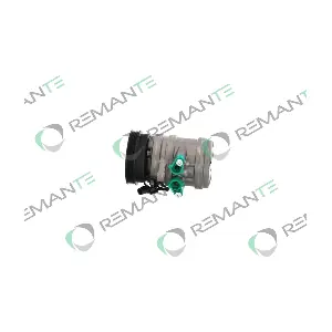 005-001-000198R REMANTE