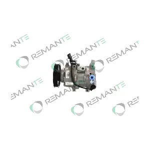 005-001-000095R REMANTE