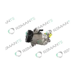 005-001-000314R REMANTE