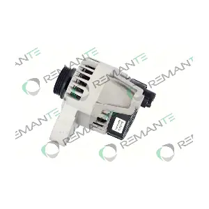 011-003-000012R REMANTE