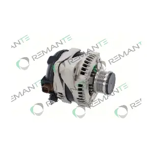 011-003-000061R REMANTE
