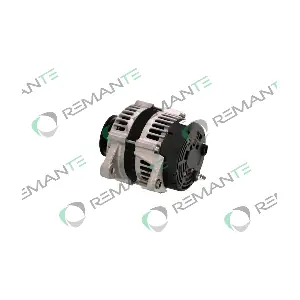 011-003-000343R REMANTE