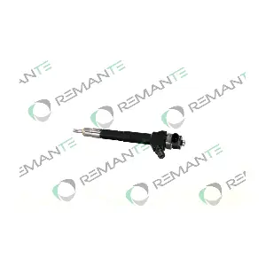 002003001751R REMANTE