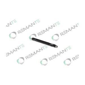 002-003-000123R REMANTE