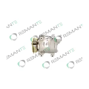 005-001-000254R REMANTE