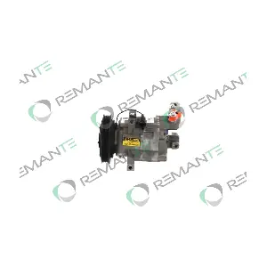 005-001-000134R REMANTE