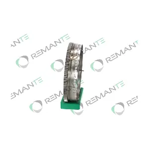 009-001-000017R REMANTE