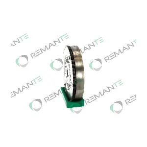 009-001-000290R REMANTE