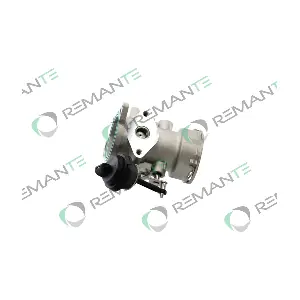 010-001-000046R REMANTE