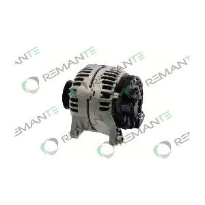 011-003-000117R REMANTE