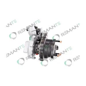 003-002-000061R REMANTE