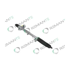 007-003-000256R REMANTE