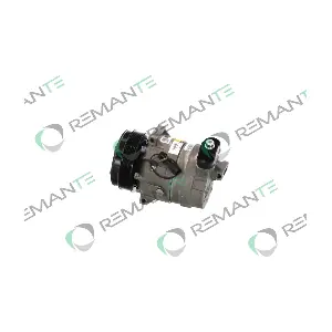 005-001-000288R REMANTE