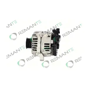 011-003-000119R REMANTE