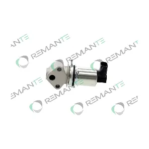 010-001-000066R REMANTE