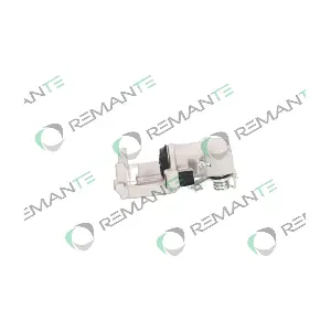 012-001-000689R REMANTE