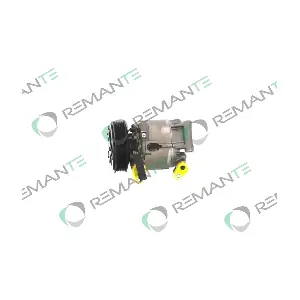 005-001-000225R REMANTE