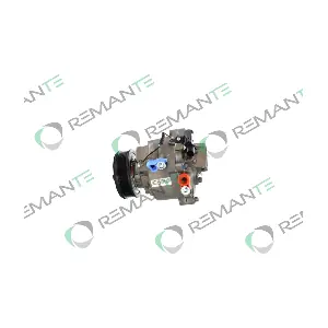 005-001-000243R REMANTE