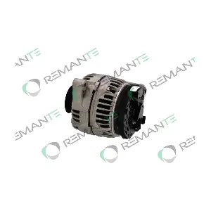 011-003-000389R REMANTE