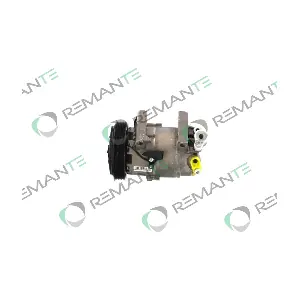 005-001-000077R REMANTE