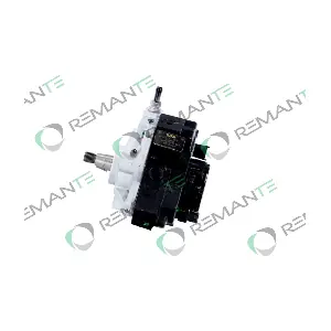 002-002-000229R REMANTE