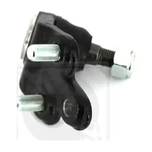 NPS T420A13