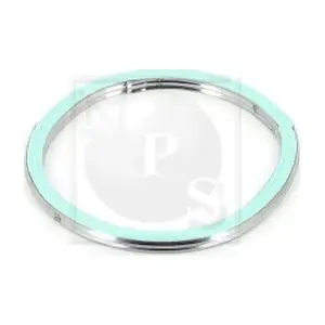 T433A01 NPS