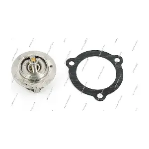 NPS M153I13