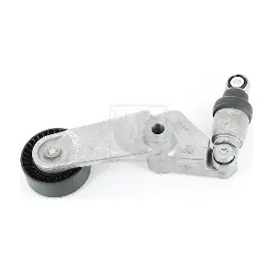NPS T110A03
