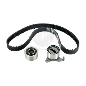 NPS T116A09