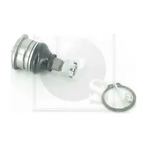 N420N101 NPS