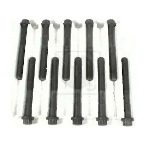 T128A17 NPS