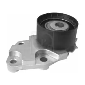 NPS D113O01A