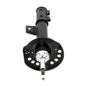H490I117 NPS