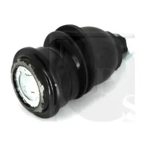 H420I02 NPS