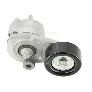 NPS D110O02