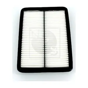 H132I53 NPS