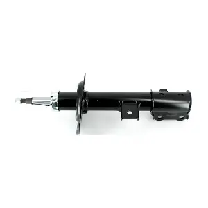 H490I109 NPS